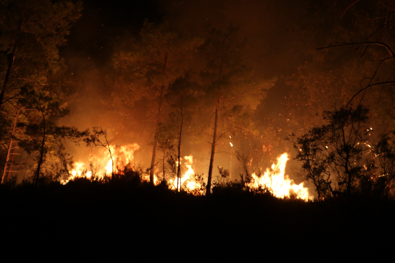 A L A N Y A D A K I O R M A N Y A N G I N I N D A 3 U N C U G U N 922544 274108