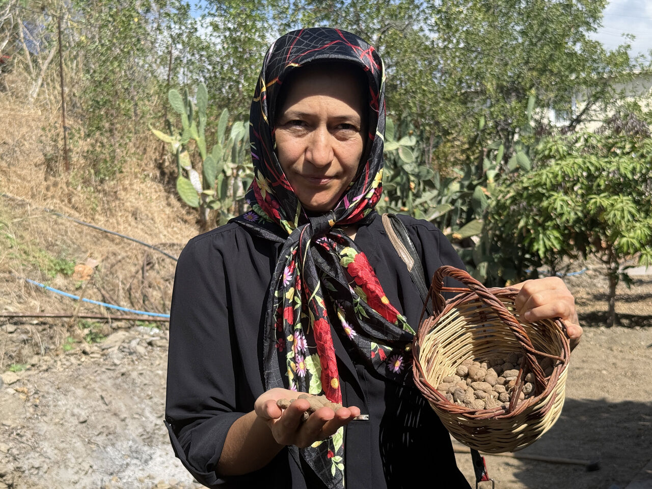 A L A N Y A D A S A L E P U R E T I M I N D E I L K A D I M 938061 278555