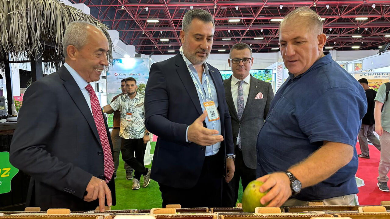 A N F A S F R E S H A N T A L Y A F U A R I K A P I L A R I N I A C T 919551 273251