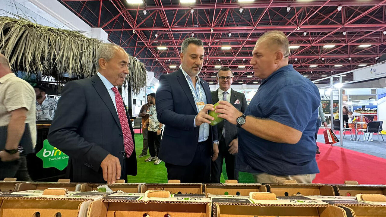 A N F A S F R E S H A N T A L Y A F U A R I K A P I L A R I N I A C T 919552 273251