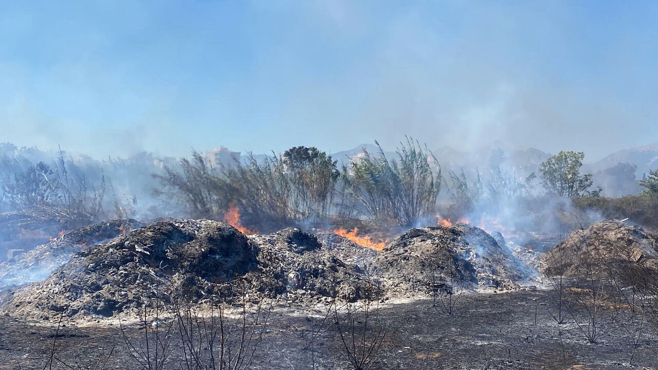 A N T A L Y A D A C A L I L I K A L A N D A C I K A N Y A N G I N E 921311 273768