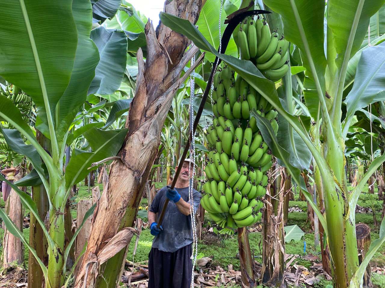 A N T A L Y A D A M U Z S E Z O N U H A S A T B A S L A D I 909316 270192