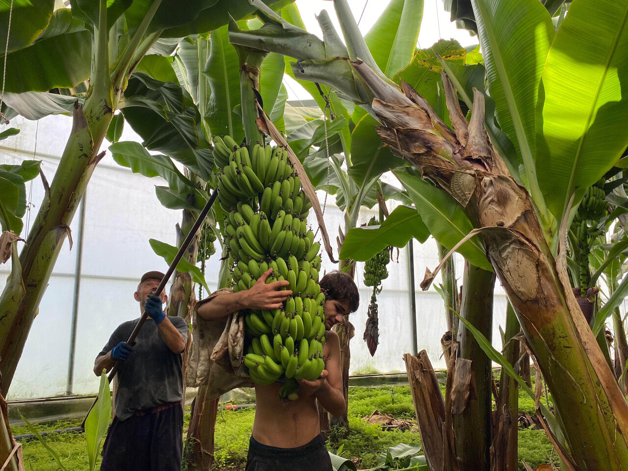 A N T A L Y A D A M U Z S E Z O N U H A S A T B A S L A D I 909318 270192