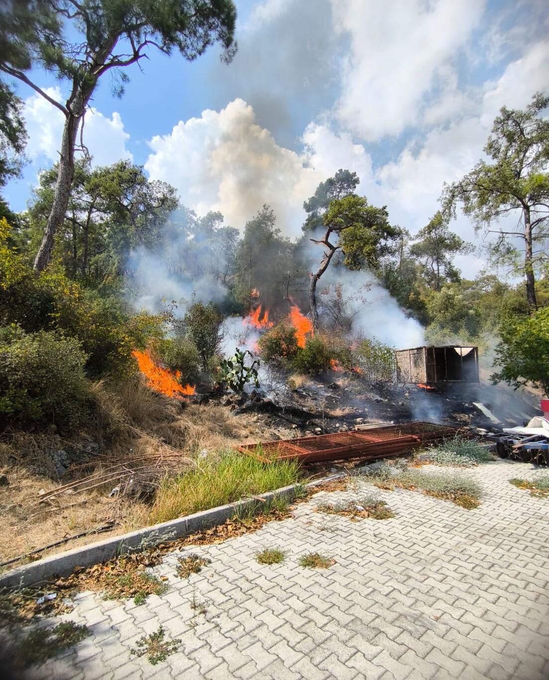 A N T A L Y A D A O R M A N Y A N G I N I 903302 268360