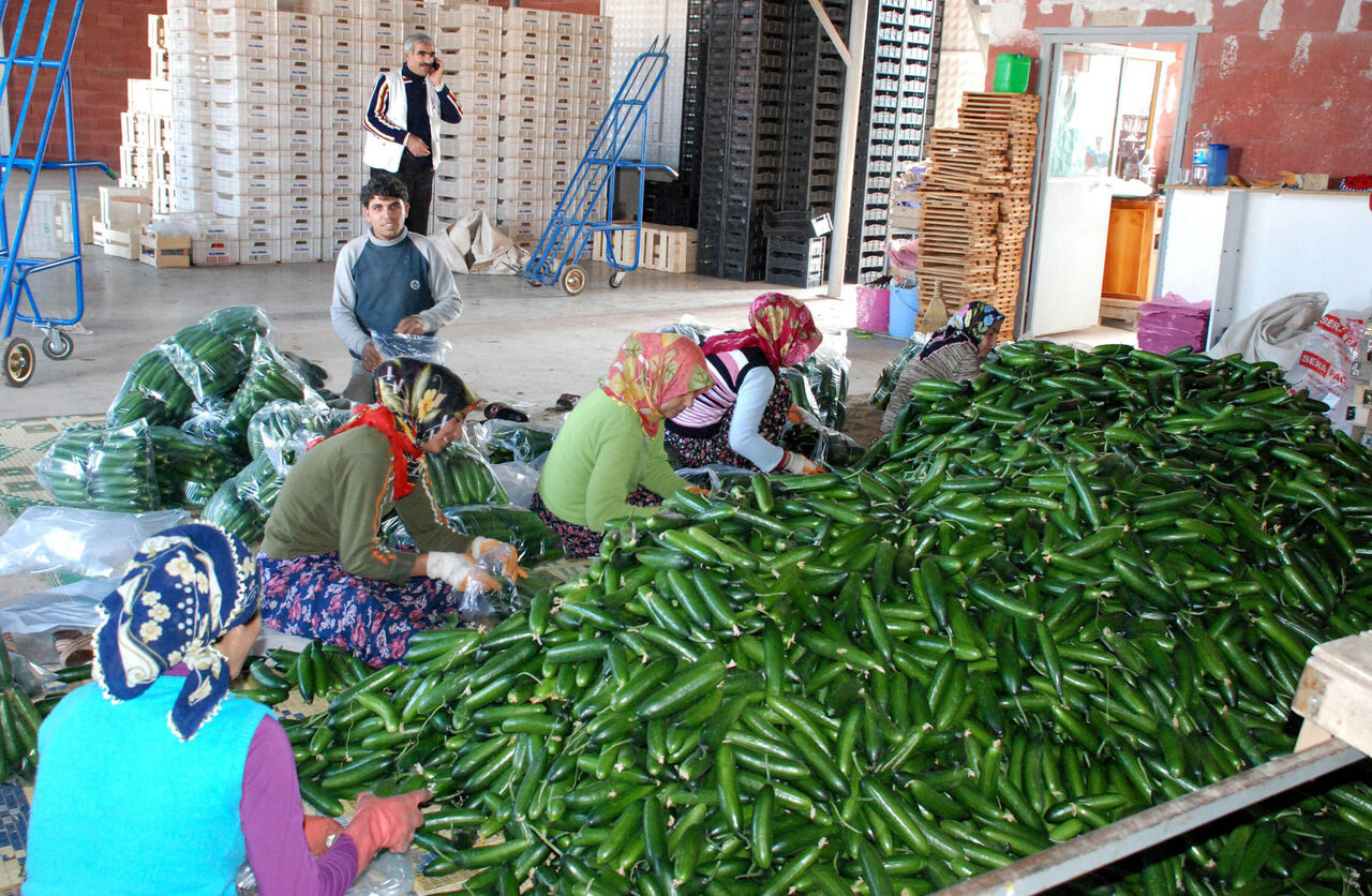 A N T A L Y A D A U K R A Y N A N I N D O M A T E S V E S A L A T 898147 266859