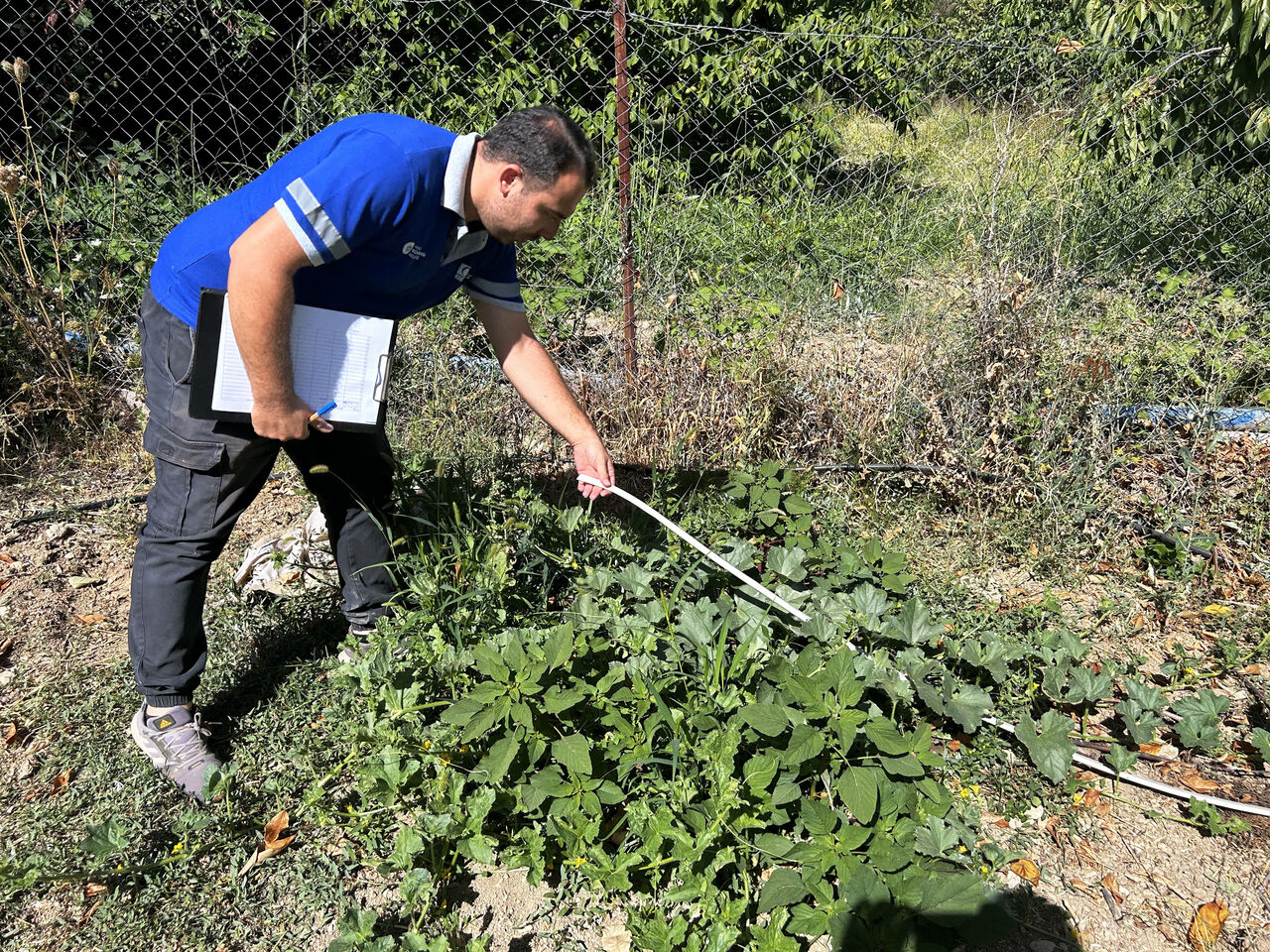 A S A T T A N U S U L S U Z S U K U L L A N I M I N A K A R S I S I 893695 265440