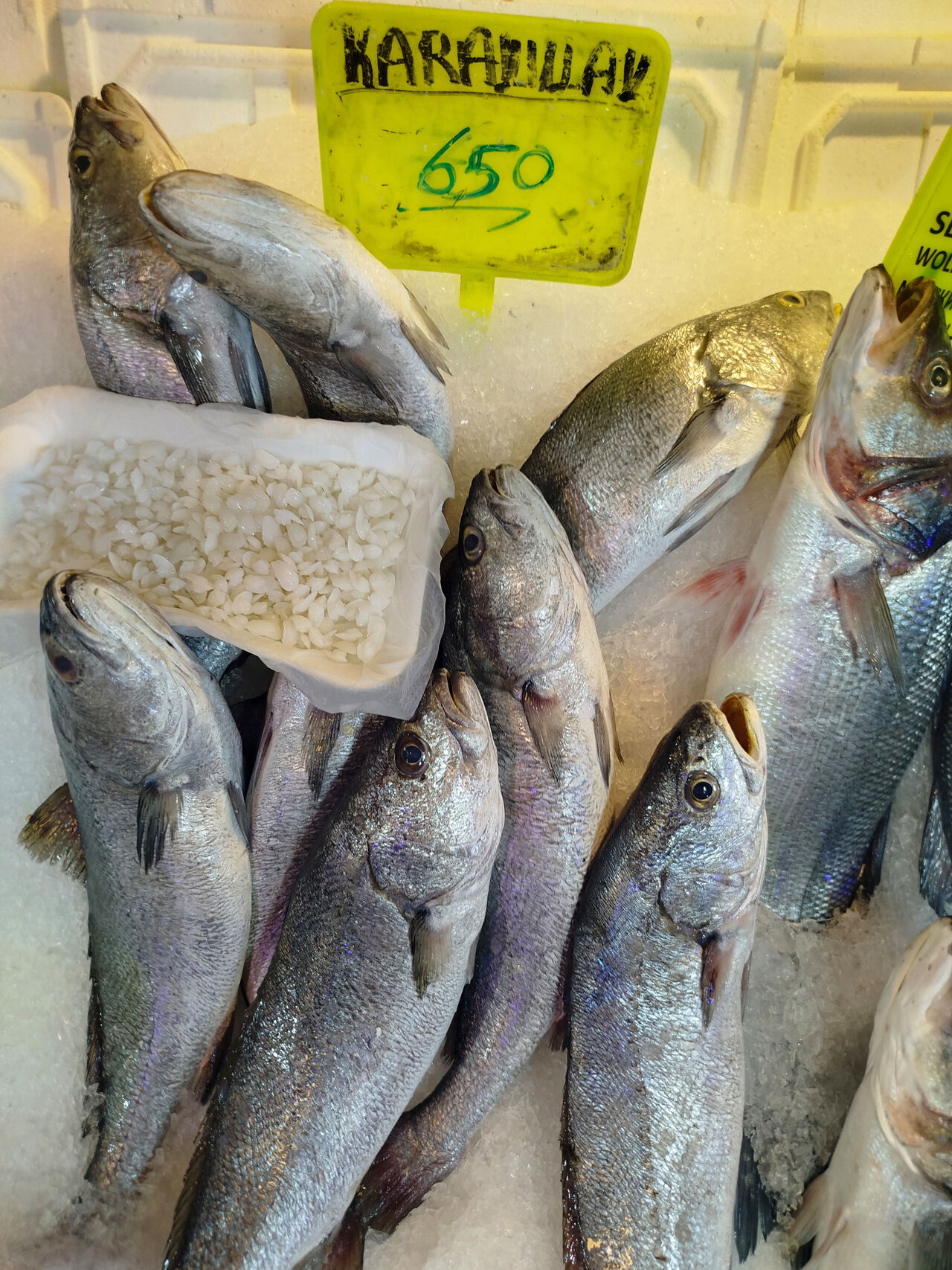 B A L I K 650 B A S I N D A K I T A S 10 B I N L I R A 920386 273519