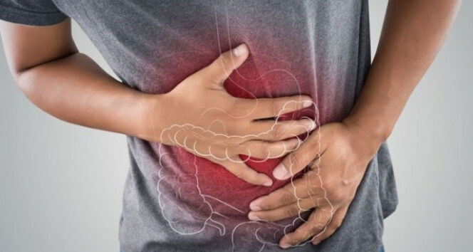 Bağırsak Sağlığı (1)