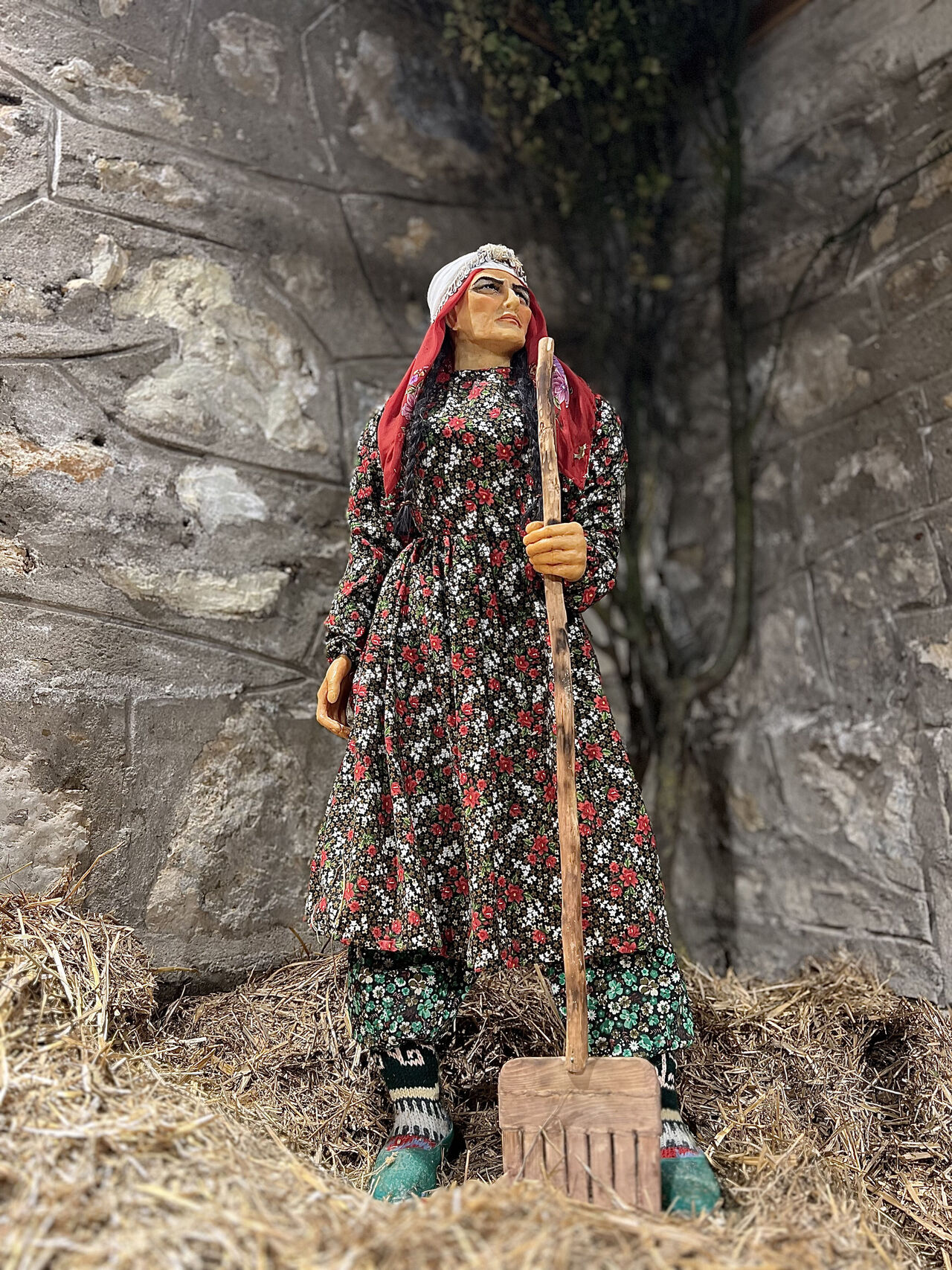 C E Z A E V I A N A D O L U M U Z E S I O L D U 905431 268976