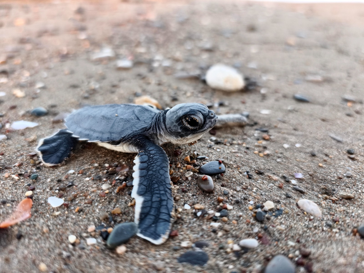 D E N I Z E U L A S A B I L E N 232 B I N Y A V R U C A R E T T A D 939230 278899