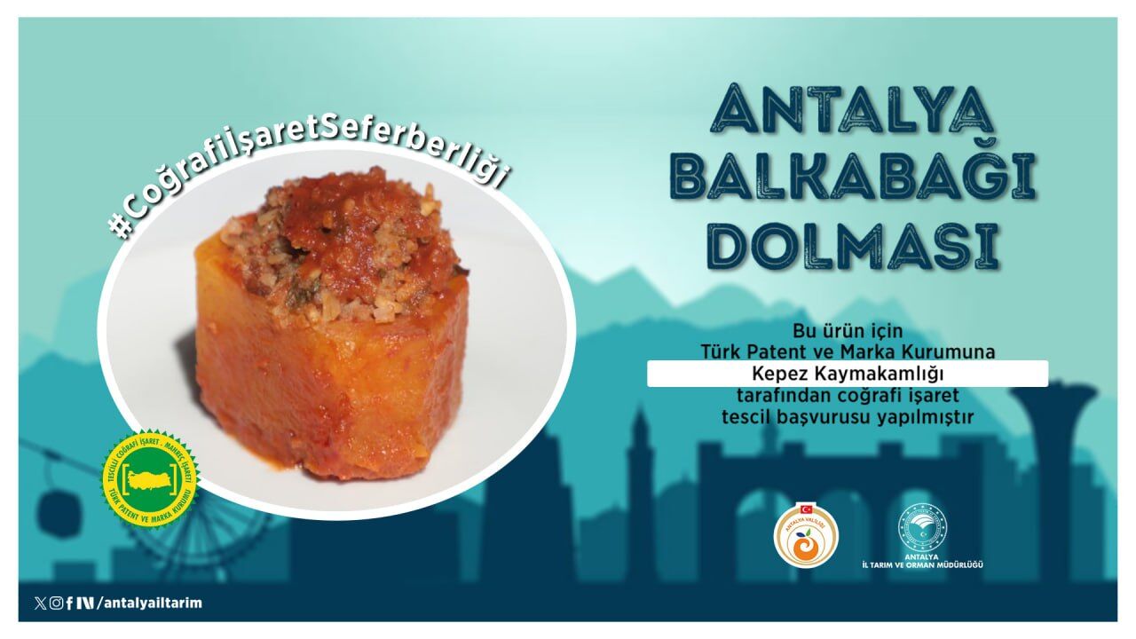 Dolma-2