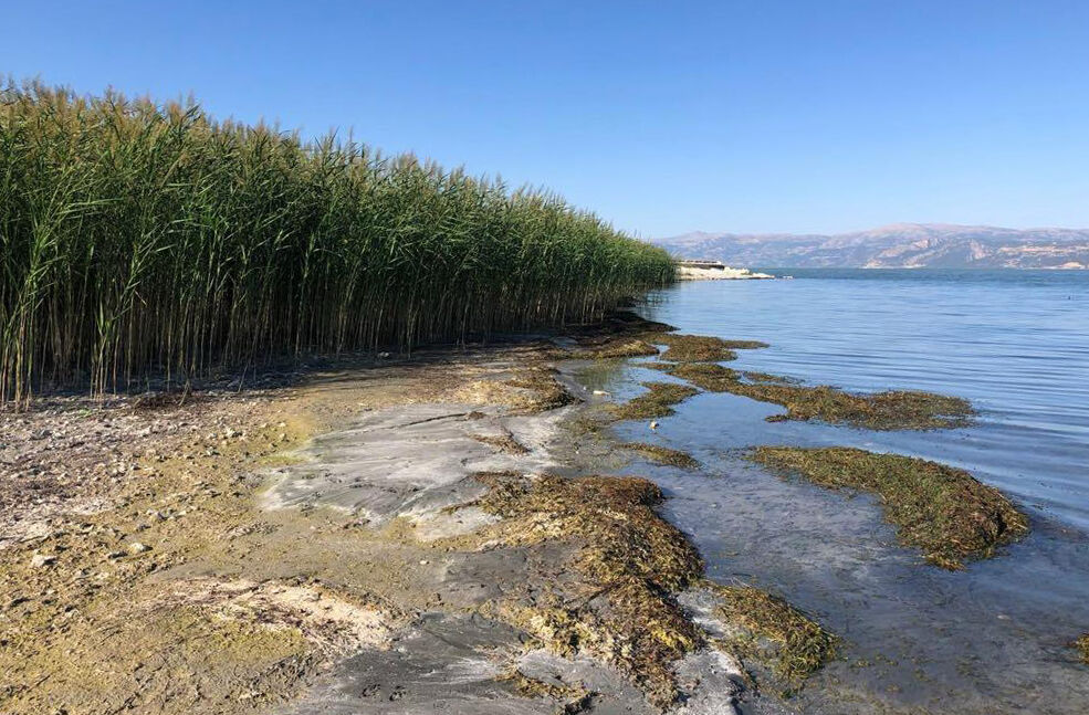 E G I R D I R G O L U N D E E K O L O J I K Y I K I M S A Z L I K L 899920 267398