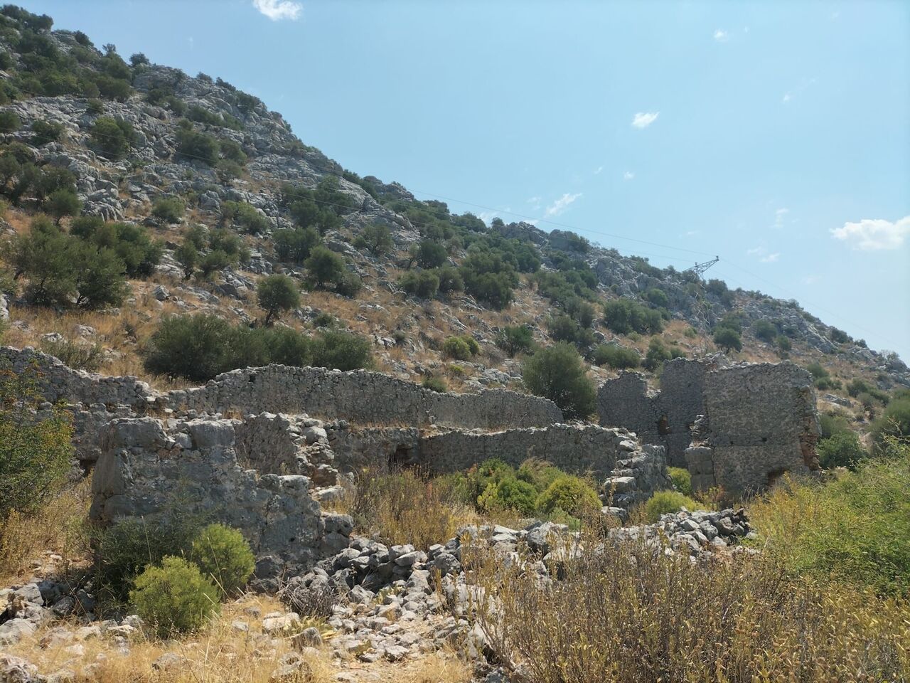 E1712810 C257 4168 8937 Bb212738E5C9