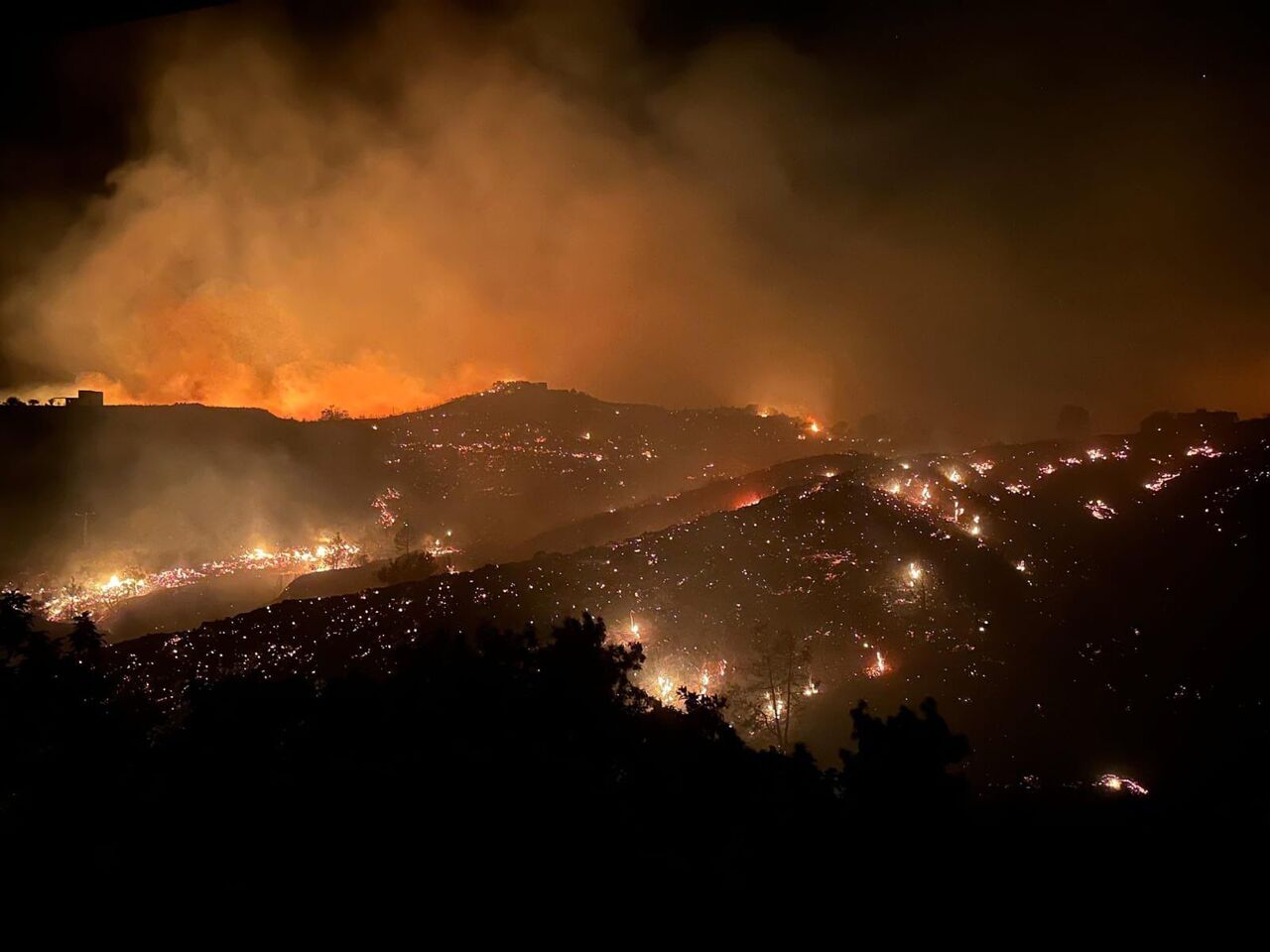 G1 M Hm D1 Wo A A C O Q O