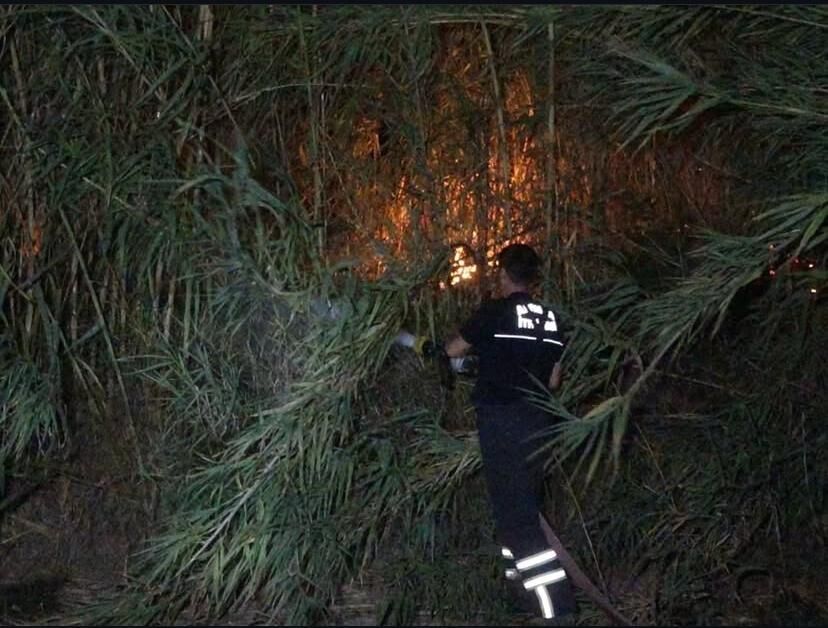 G1 M Sdj K W0 A Etaa O