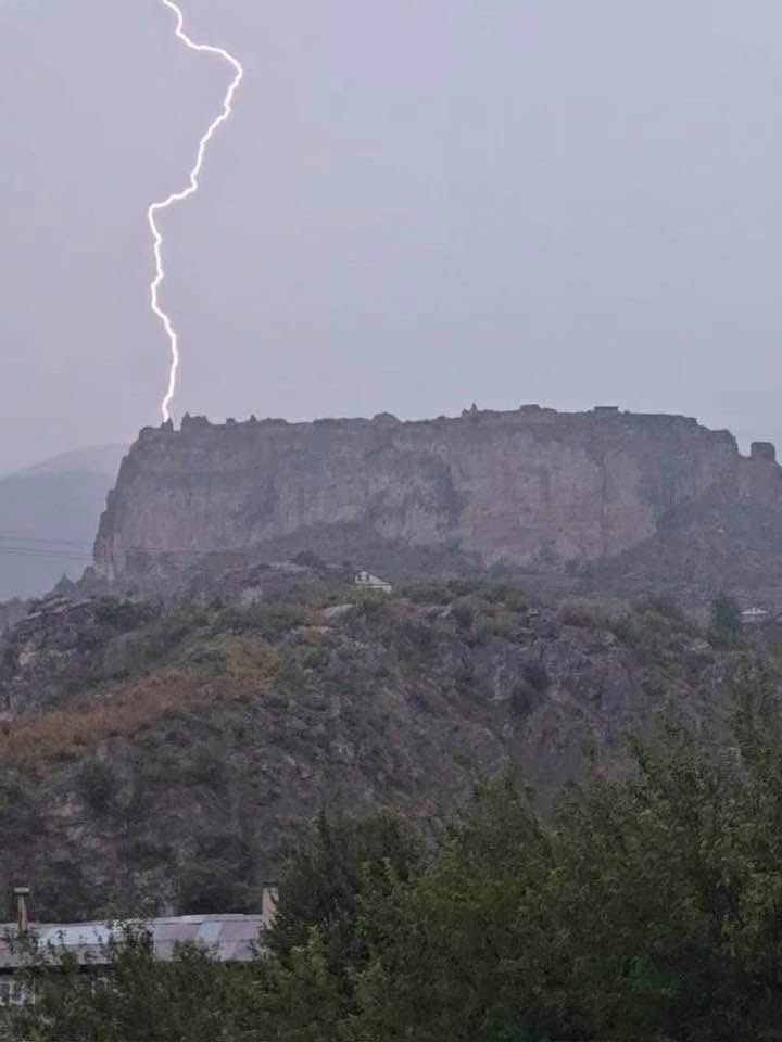 H A Y V A N O T L A T I R K E N U Z E R I N E Y I L D I R I M D U S T U 896744 266411