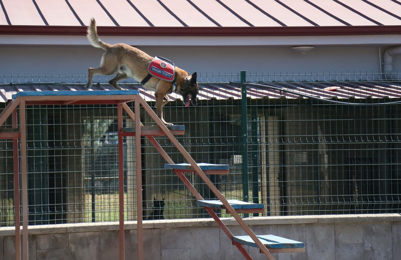 J A N D A R M A K O P E G I H A N E O R M A N Y A N G I N L A R I 916713 272403