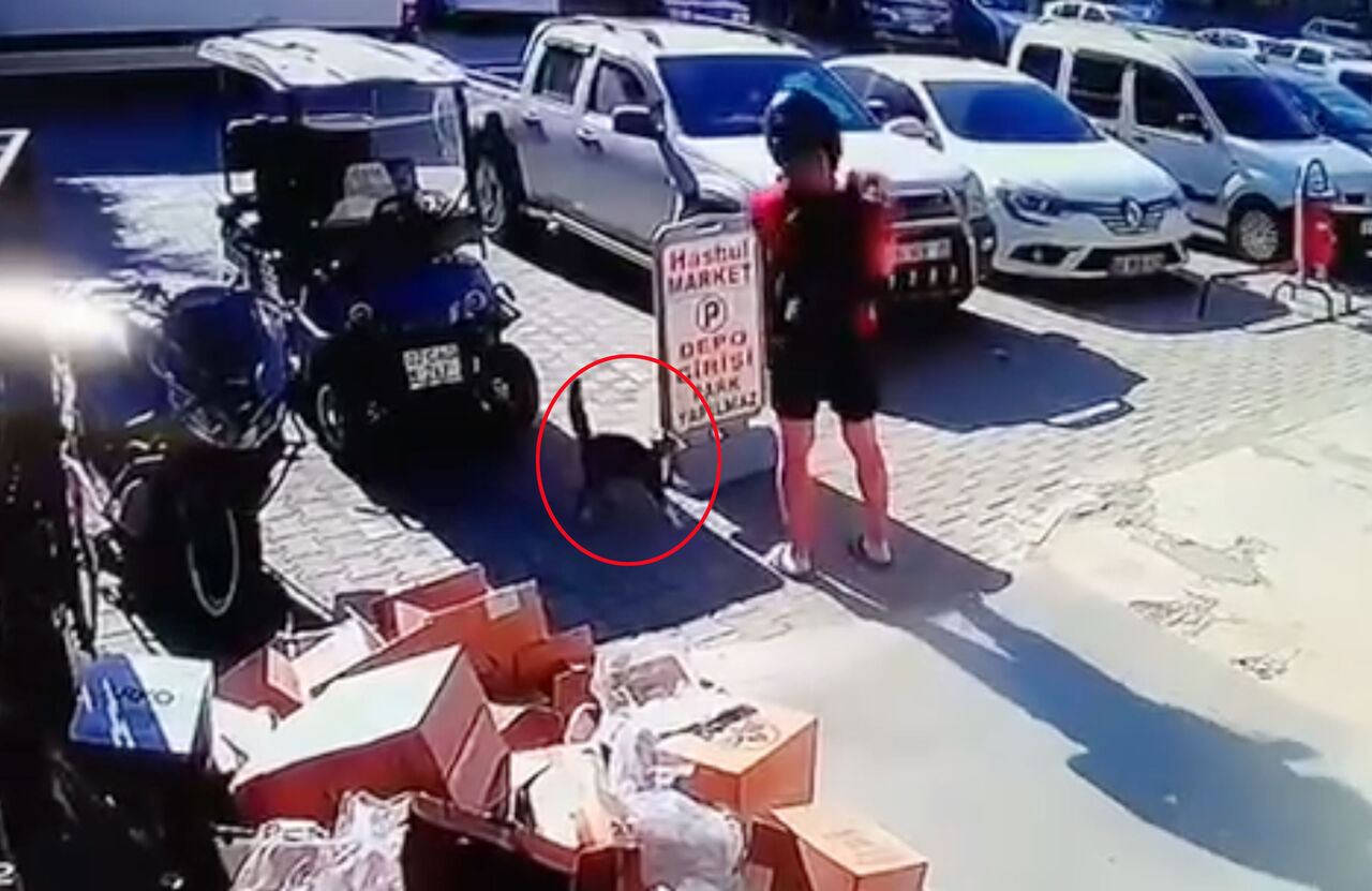 K E D I Y I T E K M E L E D I T U T U K L A N D I 908535 269967