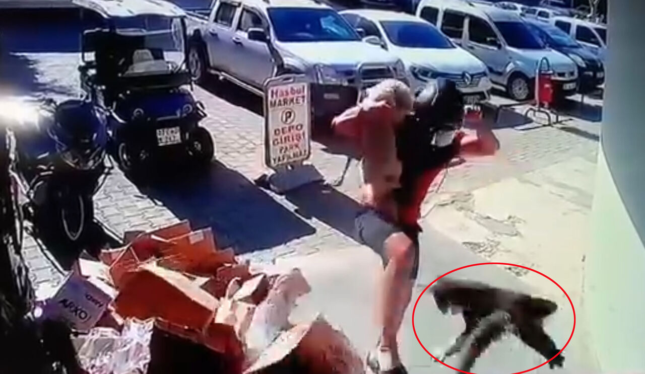 K E D I Y I T E K M E L E D I T U T U K L A N D I 908540 269967