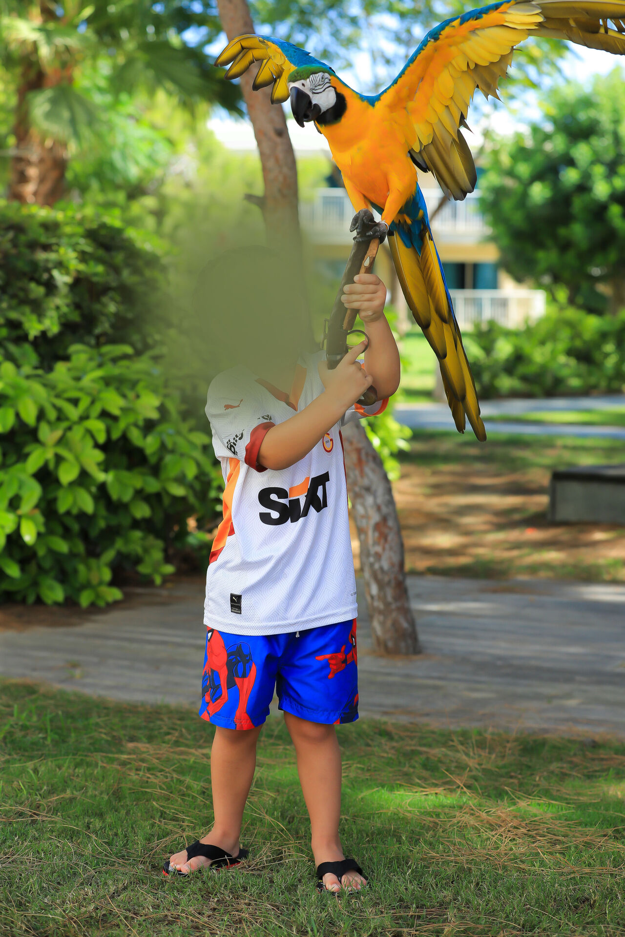 ‘ P A P A G A N L A R L A F O T O G R A F Y A S A G I N I N M A L I Y E T 929223 276001