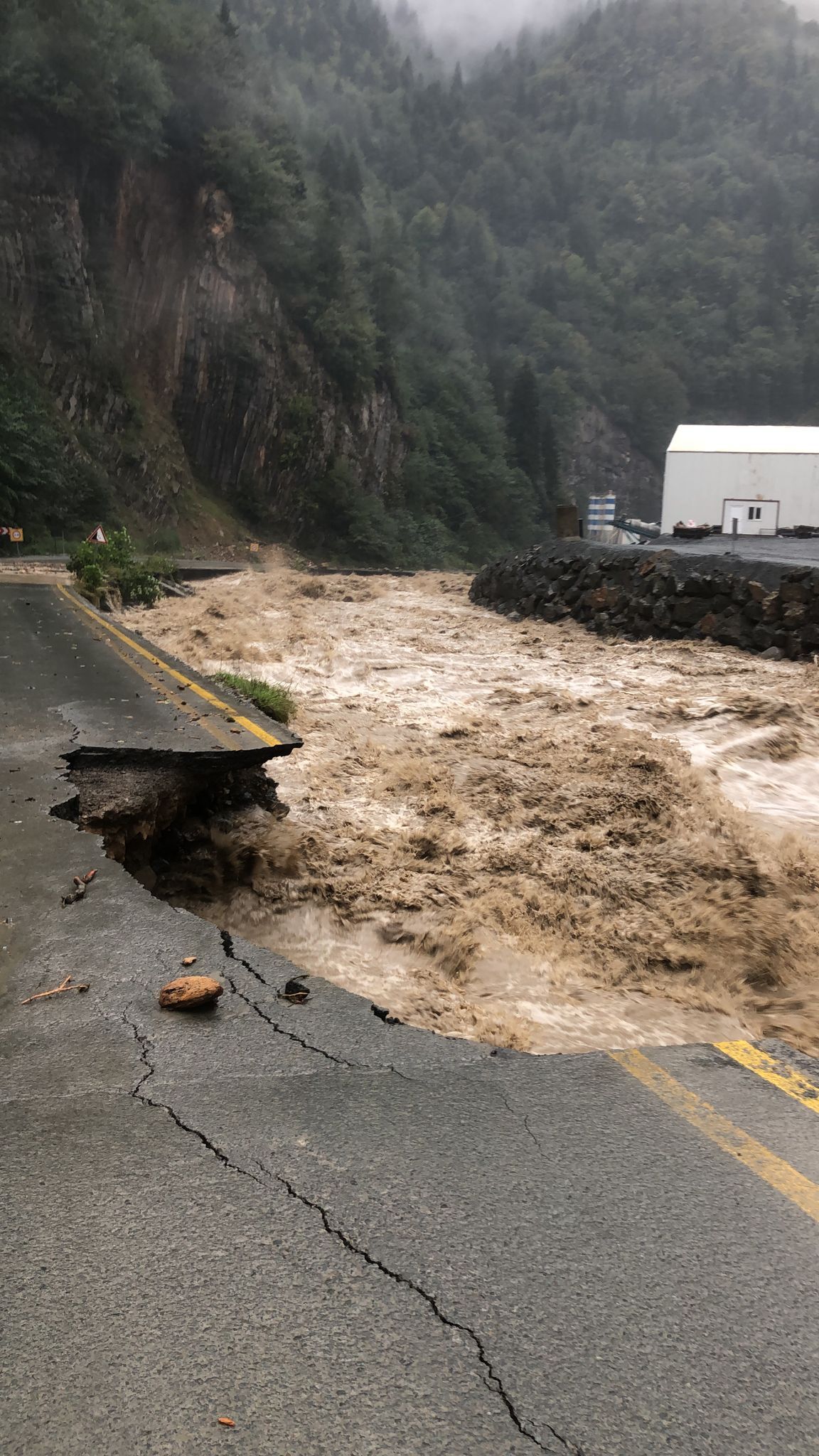 R I Z E D E Y A G I S S E L V E H E Y E L A N A N E D E N O L D 922432 274072