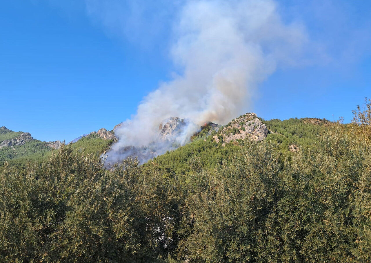 S E R I K T E K I O R M A N Y A N G I N I N A I L I S K I N 1 G O Z 925708 274992