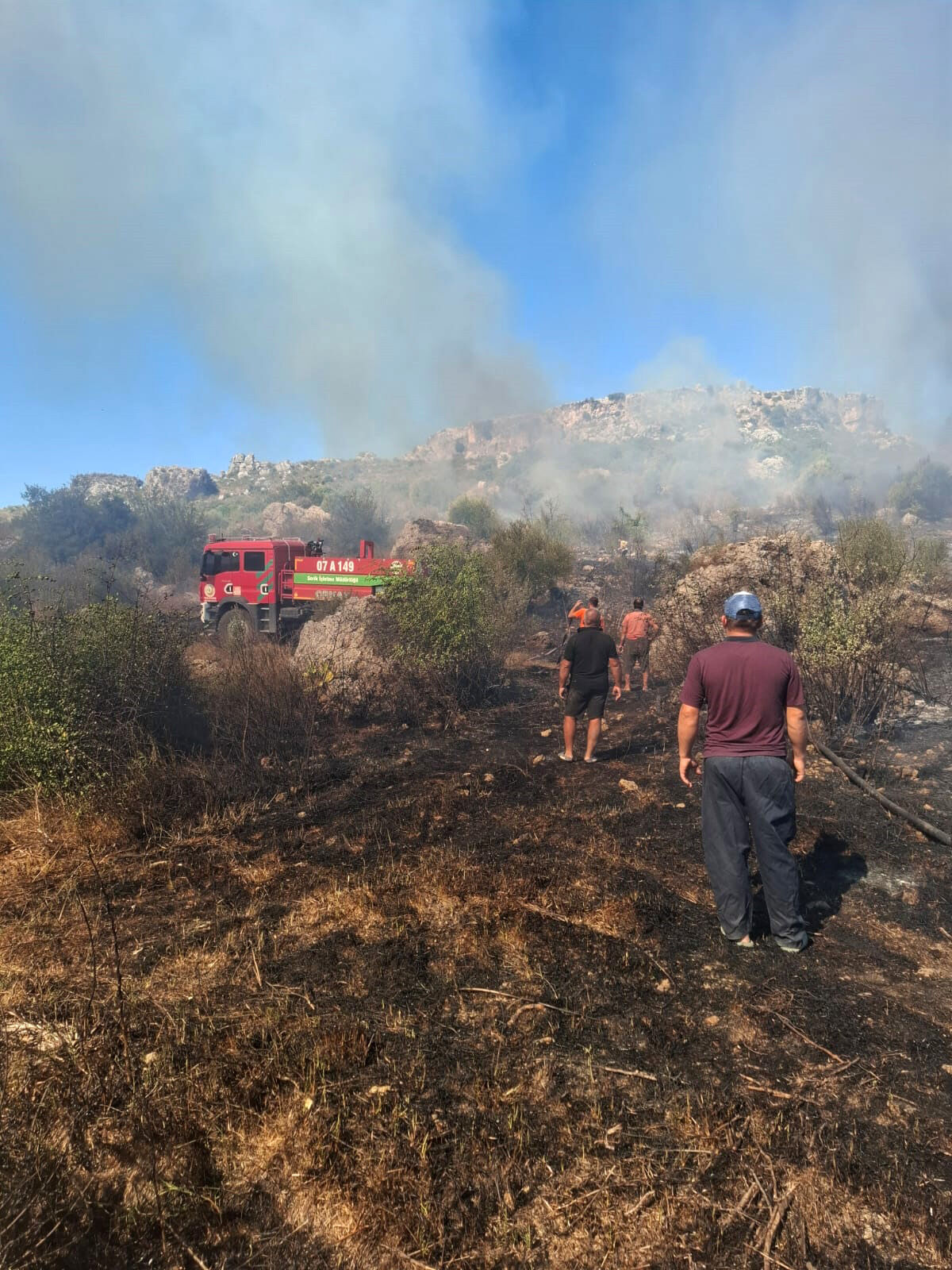 S E R I K T E M A K I L I K V E Z E Y T I N L I K Y A N G I N I 920952 273675