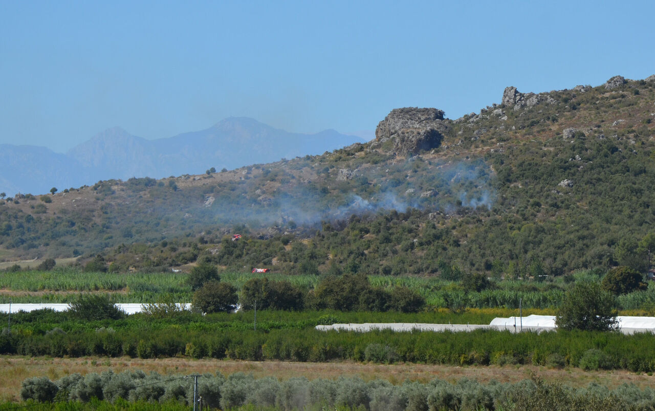 S E R I K T E M A K I L I K V E Z E Y T I N L I K Y A N G I N I 920957 273675