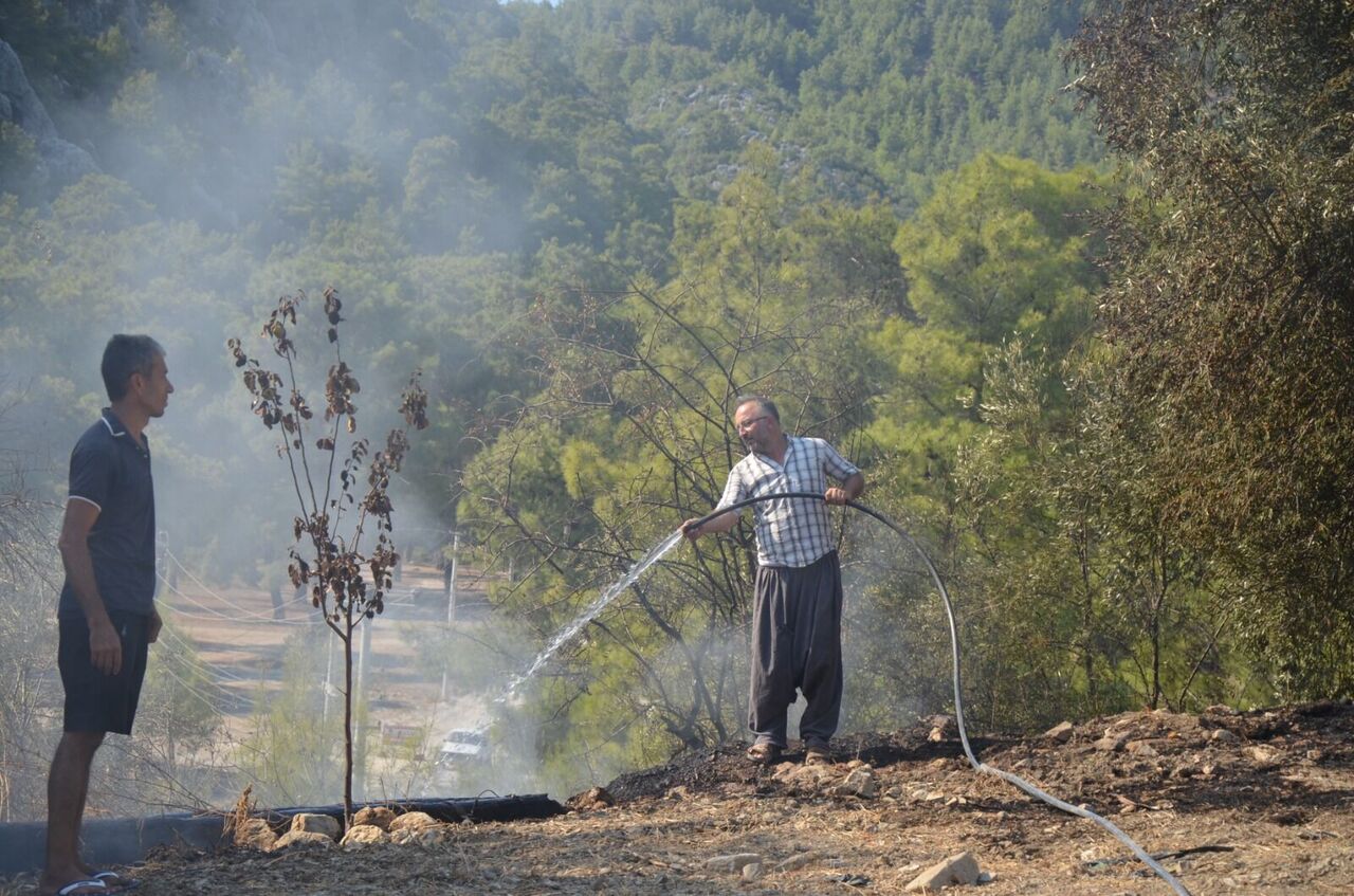 S E R I K T E O R M A N Y A N G I N I (3) 925051 274790