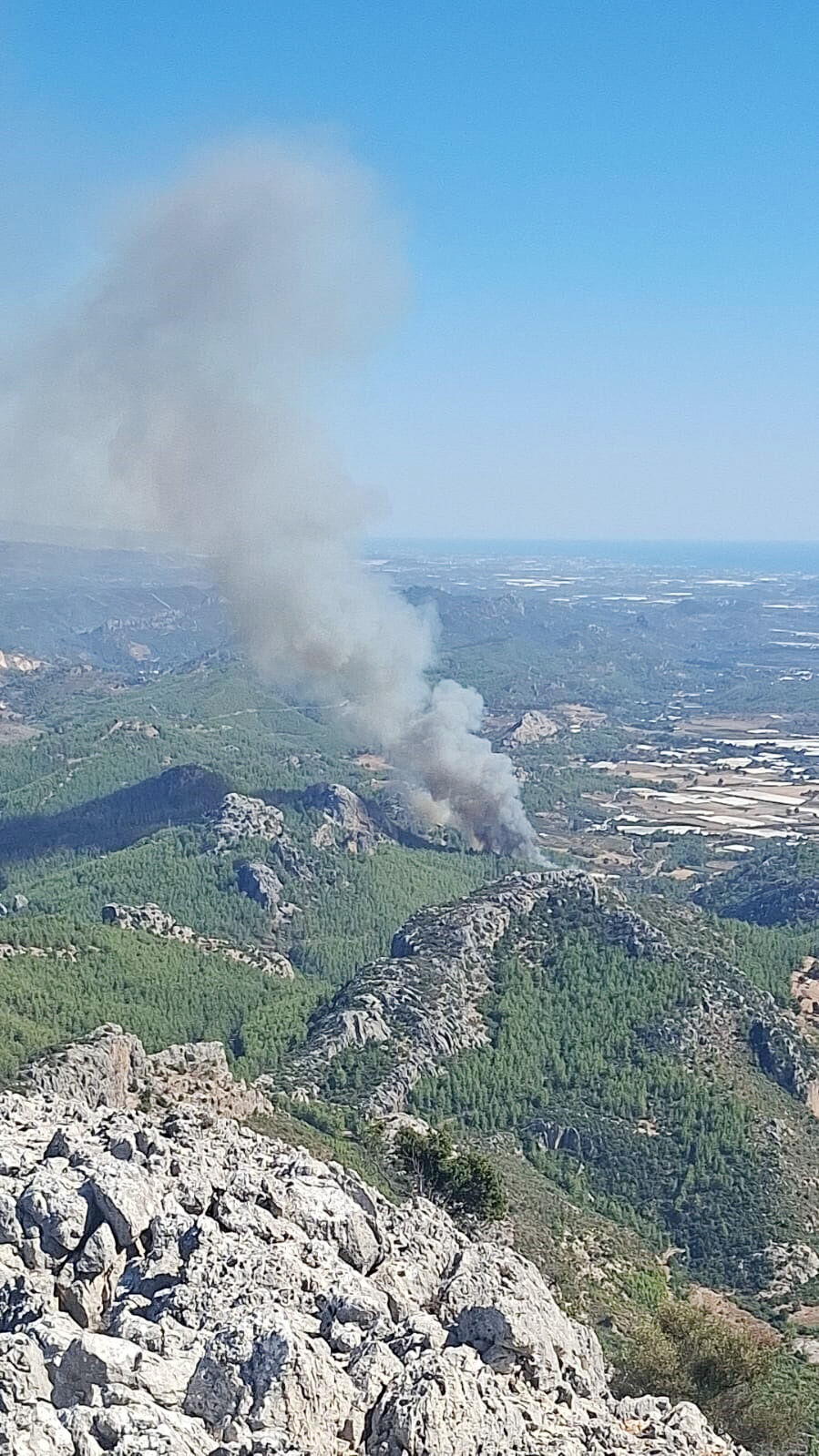 S E R I K T E O R M A N Y A N G I N I 924736 274706