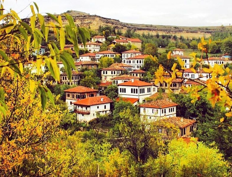 Safranboluda Sonbahar 785X600