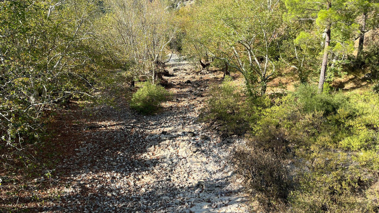 U Z U M D E R E I R M A G I K U R U D U 918492 272929