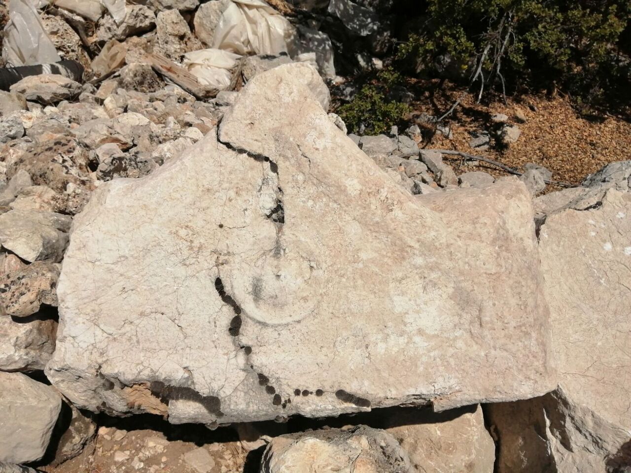 Whatsapp Görsel 2025 09 07 Saat 22.17.55 C2F781A5