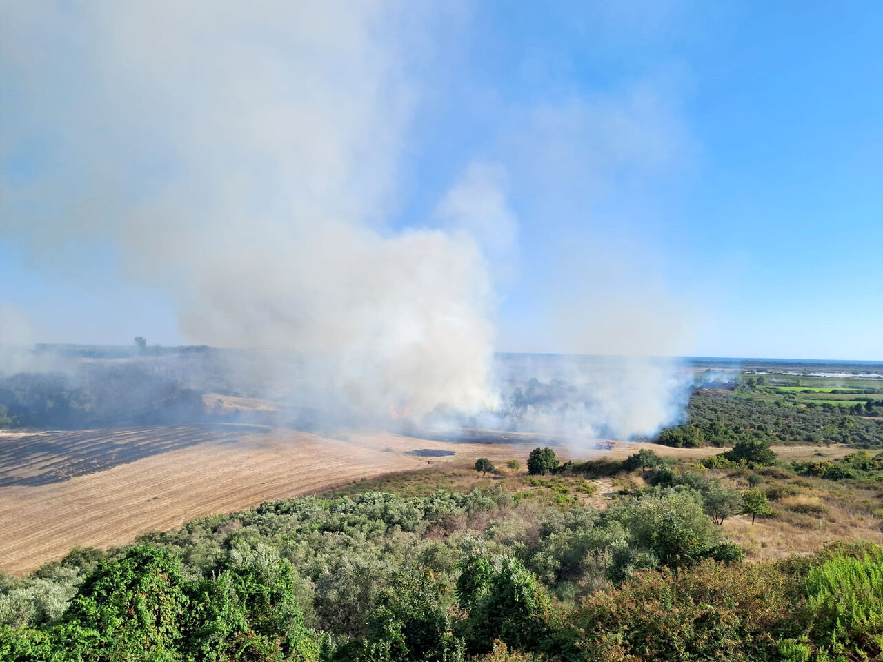 Z E Y T I N L I K T E K I Y A N G I N B U Y U M E D E N S O N D U R U L D 908848 270056