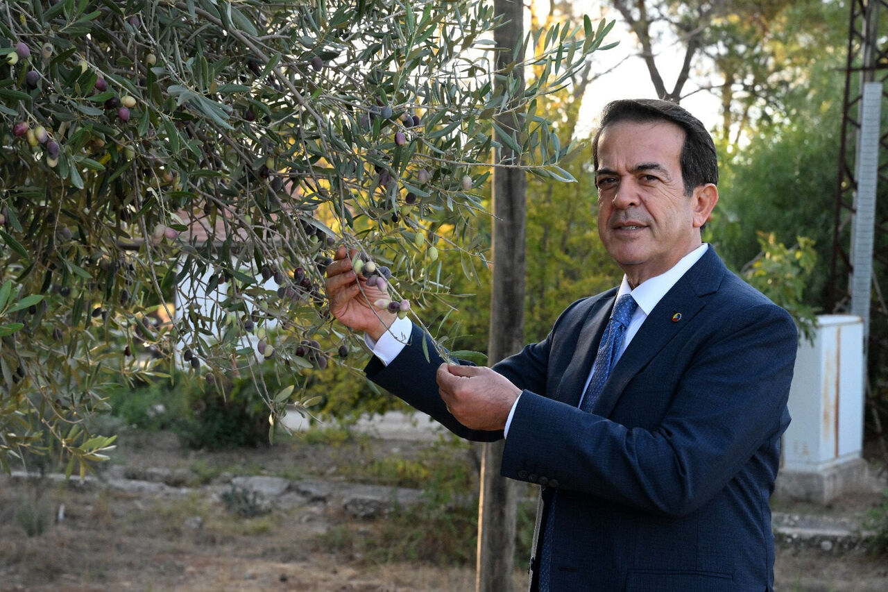 1210 V E 770 Y A S I N D A K I 2 Z E Y T I N A G A C I N D A N 956407 284053