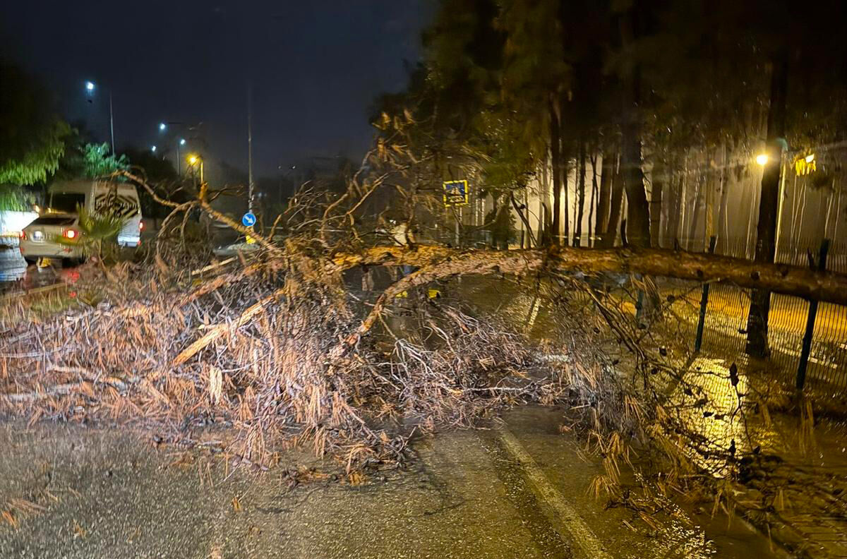 A L A N Y A D A S A G A N A K E T K I L I O L D U 953381 283049