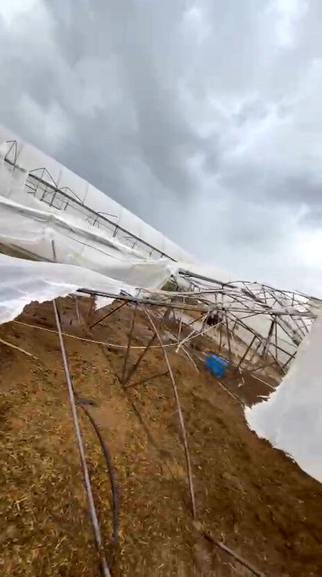 A N T A L Y A D A S A G A N A K Y A S A M I O L U M S U Z E T K I L E 978271 290494