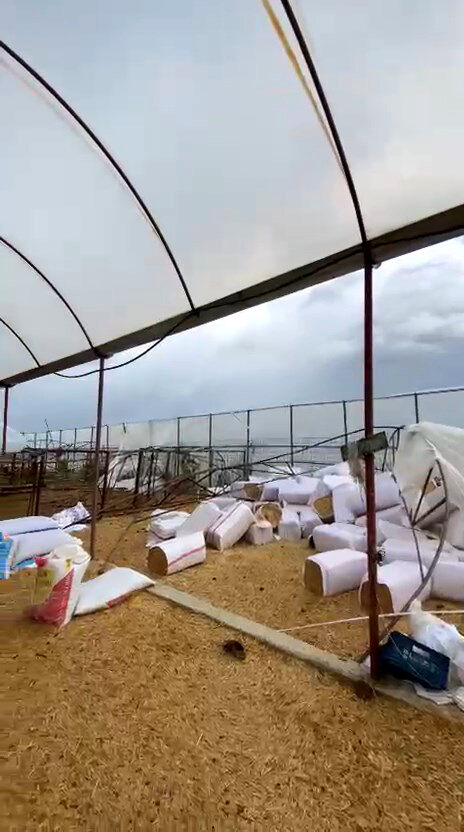 A N T A L Y A D A S A G A N A K Y A S A M I O L U M S U Z E T K I L E 978279 290494