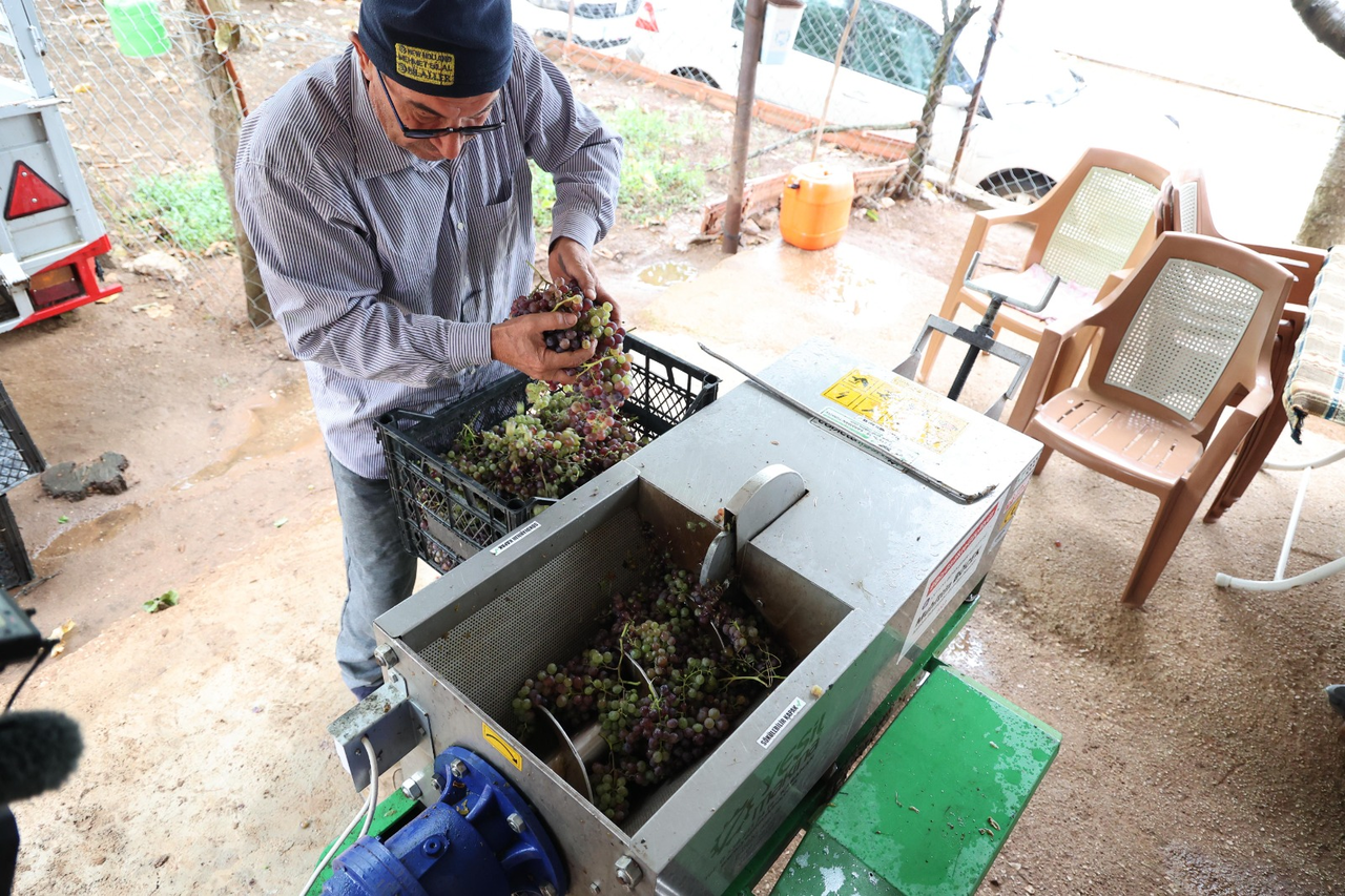 Büyükşehir 23 Üzüm Sıkma Makinesi Ile Pekmez Üretimine İş Gücü Desteği Veriyor (5)