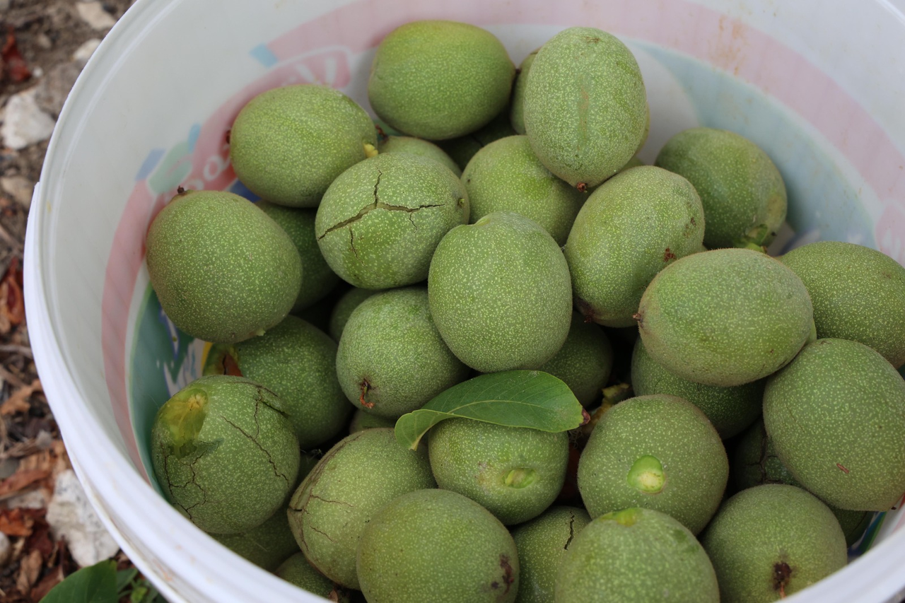 Büyükşehir Hibe Destekleri İle İşler Kolaylaşıyor (3)