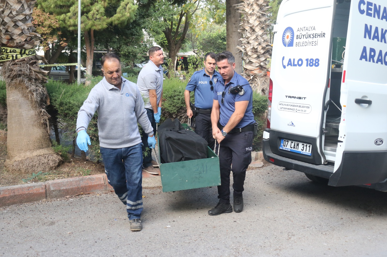 C O C U K P A R K I N D A K I B A N K T A O L U O L A R A K B U L U N 971688 288536