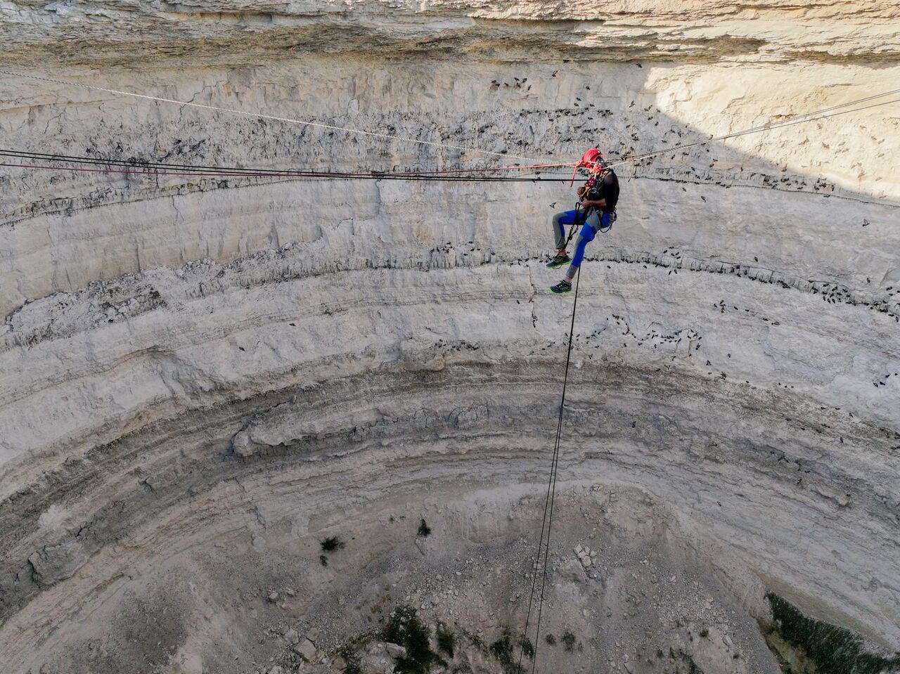 C006D41D 3952 4213 A960 368Ca1D7E68B