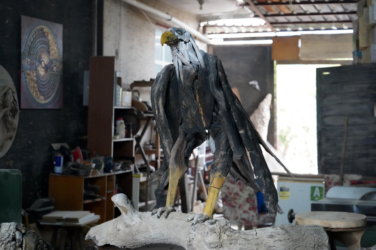 D O G A N I N A T I K L A R I N I S A N A T A D O N U S T U R U Y O R 991805 294288