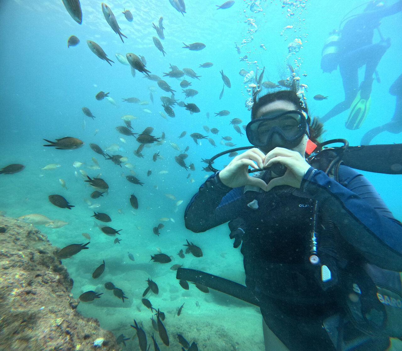 G E N C L E R L E B E R A B E R I Z P R O J E S I K A P S A M I N D A 981378 291443