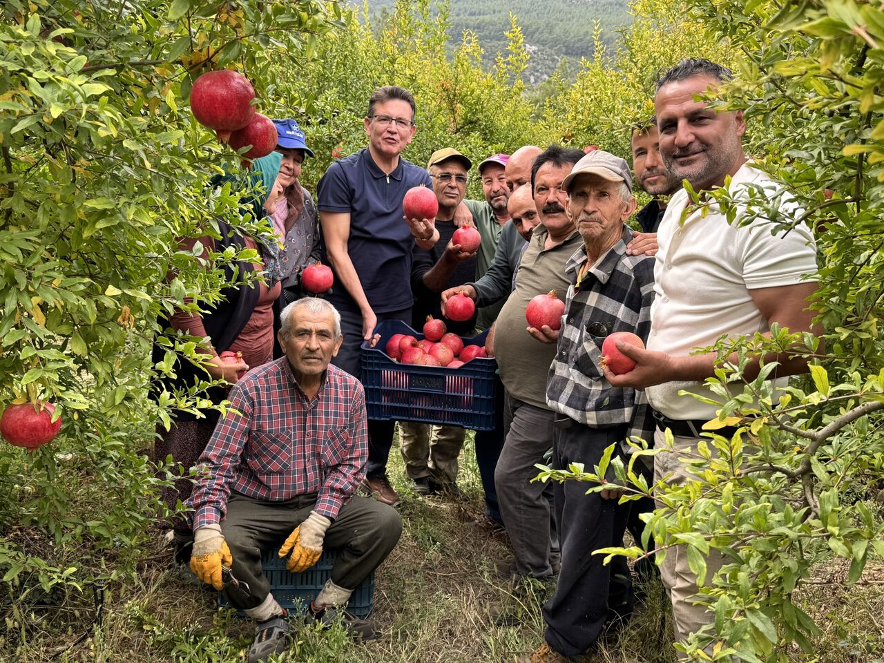 G4 L K L4 Xo A A T Bh D