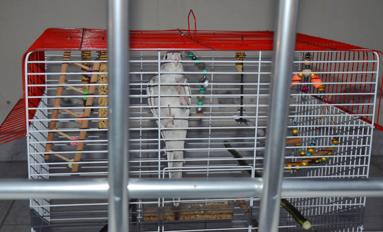 I T F A I Y E Y A N G I N I S O N D U R U P E V D E K I K U S U K U 968813 287741