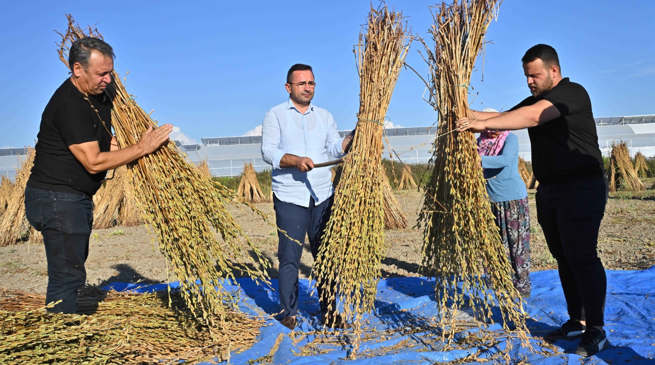 M A N A V G A T S U S A M I Y U R T D I S I N D A D A B U Y U K I 952300 282713