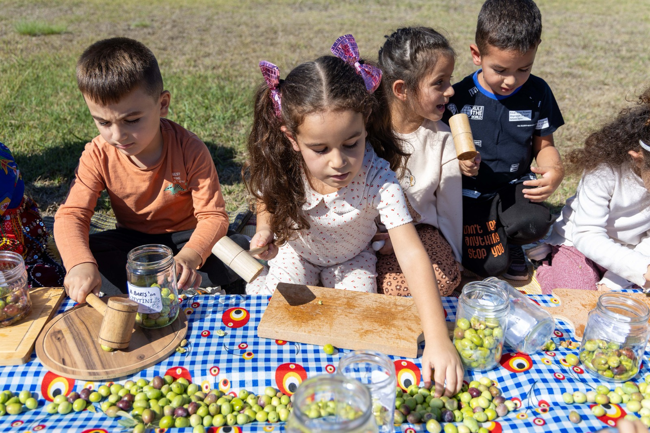 M I N I K L E R Z E Y T I N H A S A D I N D A 966502 287059