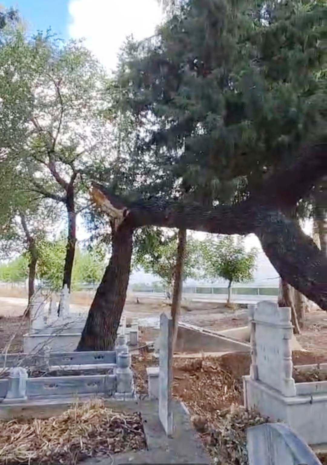 R U Z G A R D A N D A L L A R I K I R I L A N A G A C L A R M E Z A R L 981228 291404