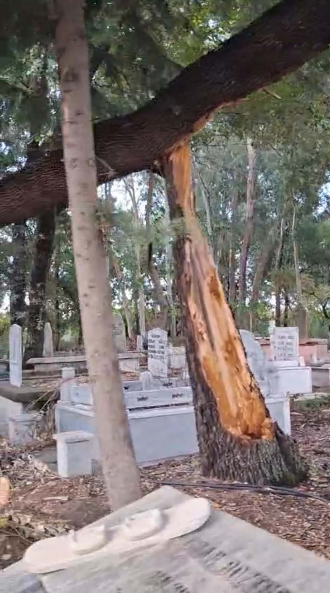 R U Z G A R D A N D A L L A R I K I R I L A N A G A C L A R M E Z A R L 981231 291404